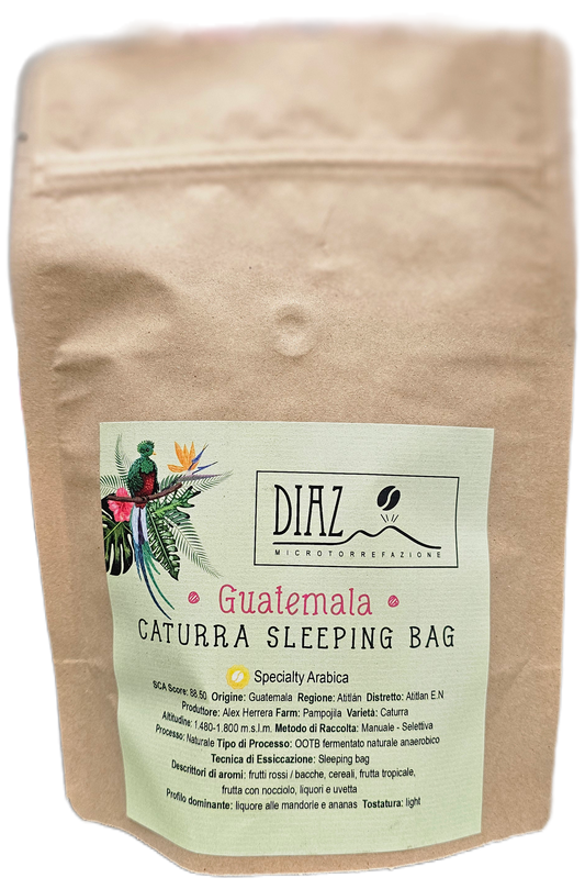 Guatemala Caturra